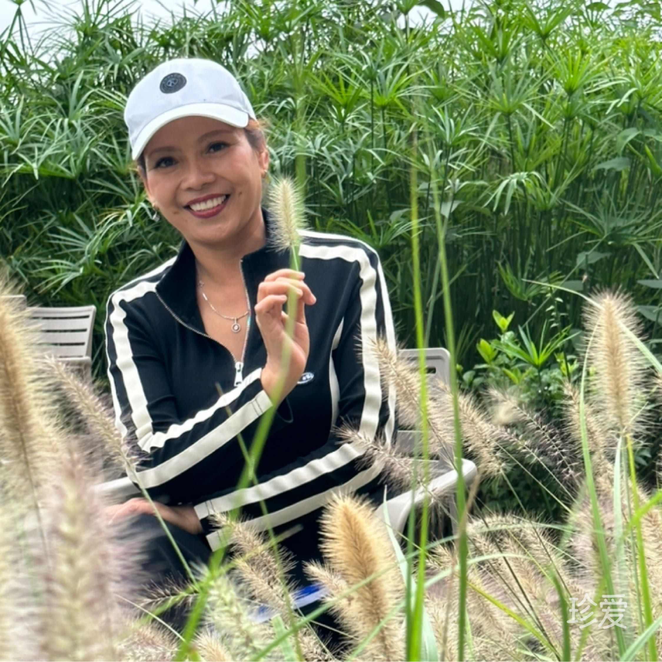 苹果