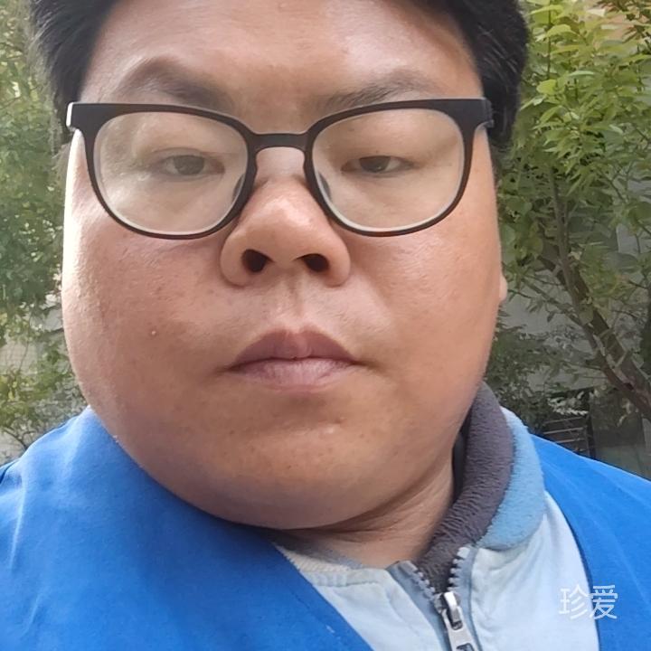 豬豬大作戰(zhàn)