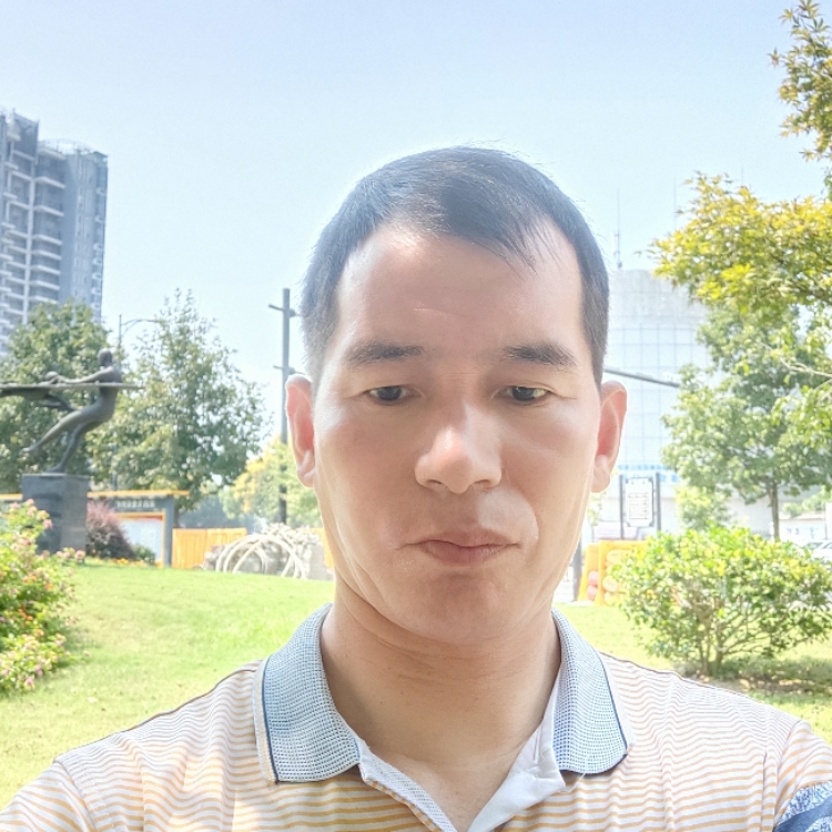 燦爛的陽(yáng)光