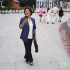 藤箐