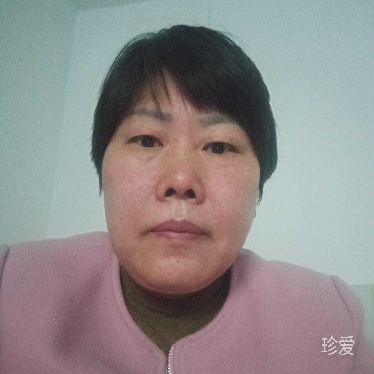 智途