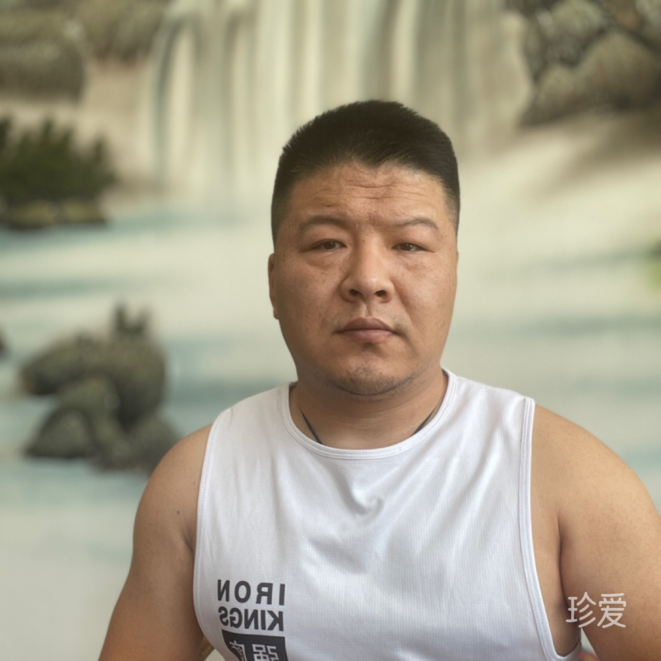 请勿拍打喂食
