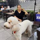 歲月靜好