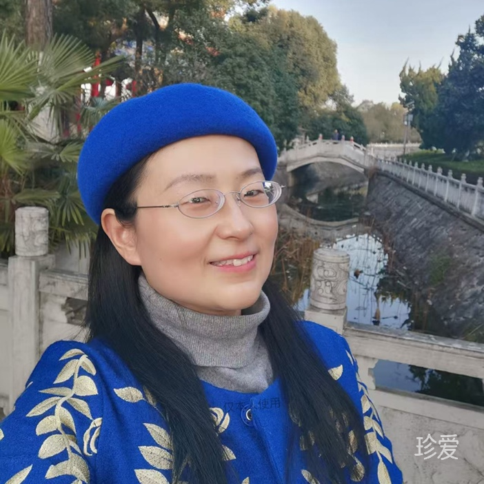 一个不倾城的女子
