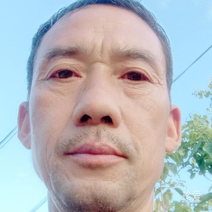 喜欢自由