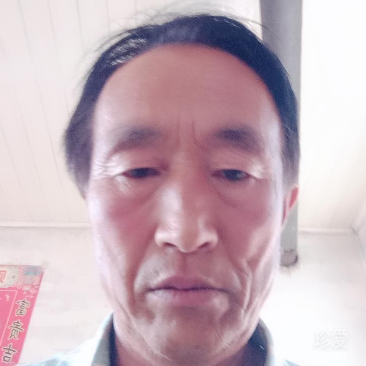 真心实意