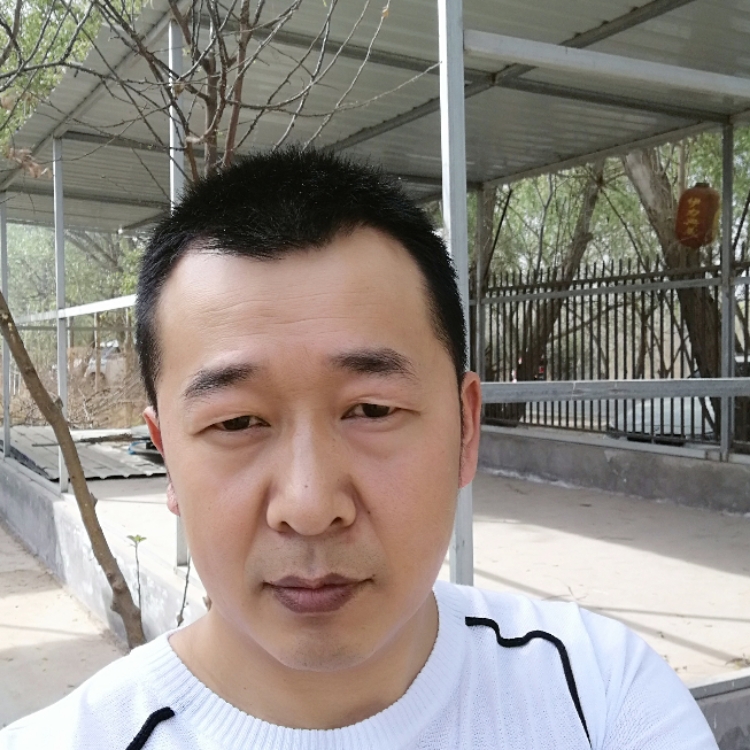 寻找真爱