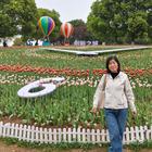 風(fēng)中的落葉