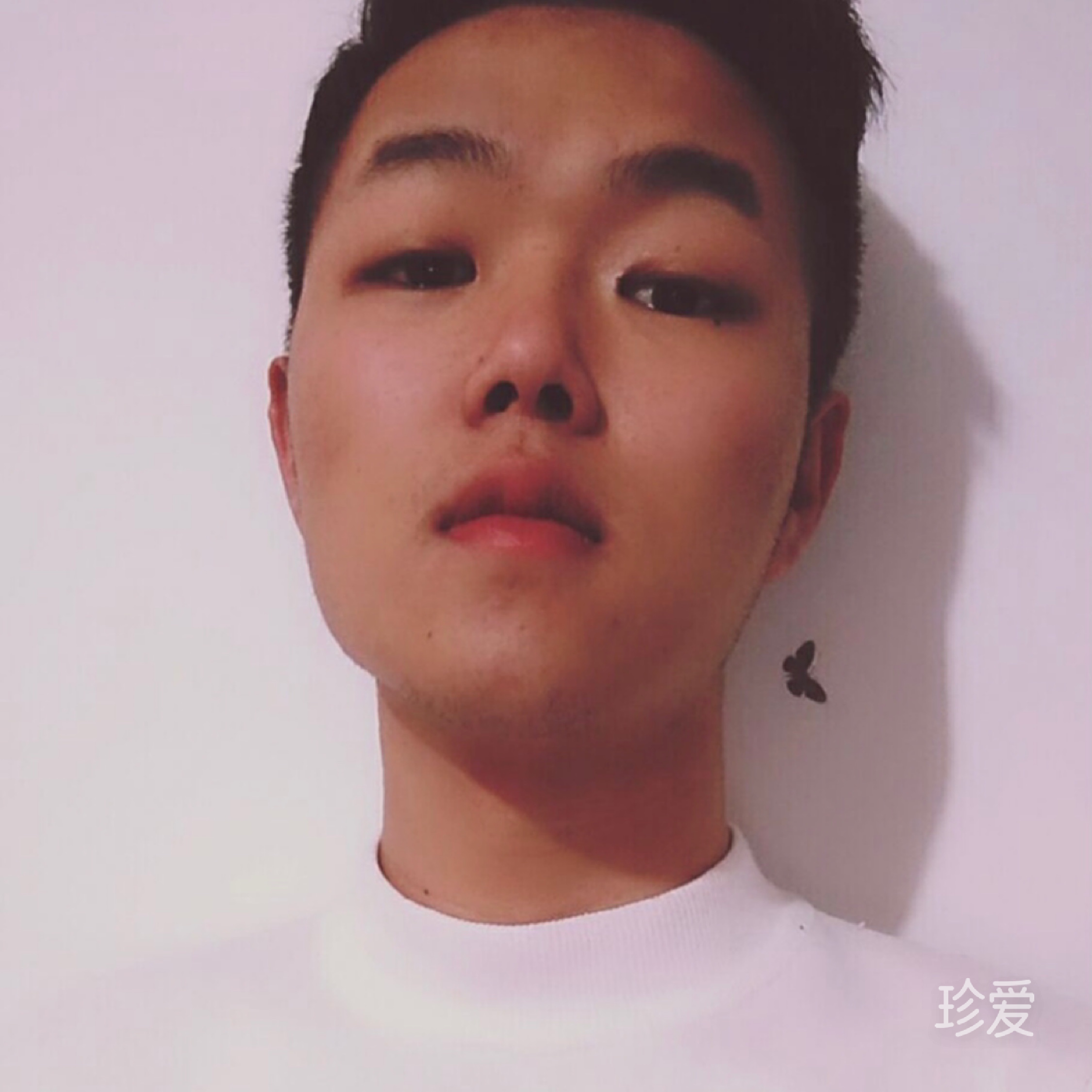 美好的未来需要憧