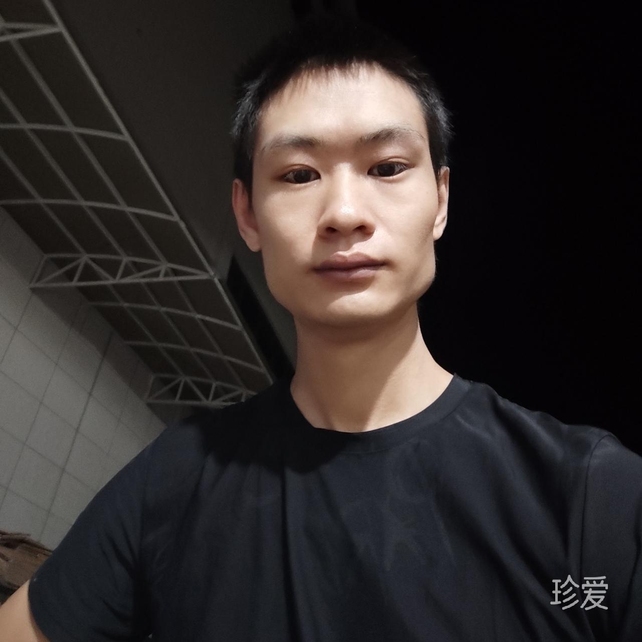 伤心的猪