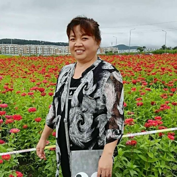 老窦