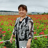 老窦
