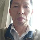 戀你一生