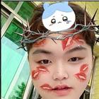 坐看山水笑癡情