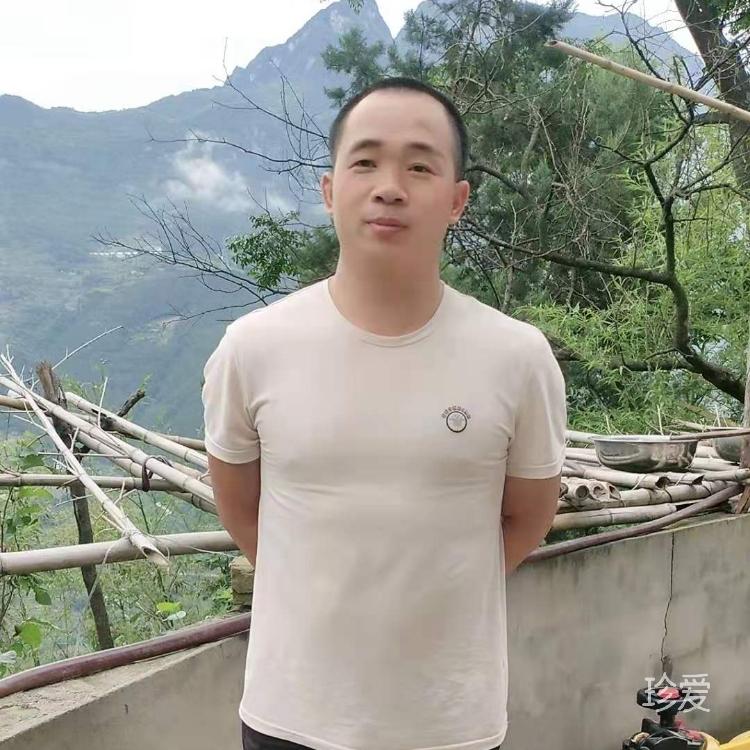 小樓一夜聽春雨