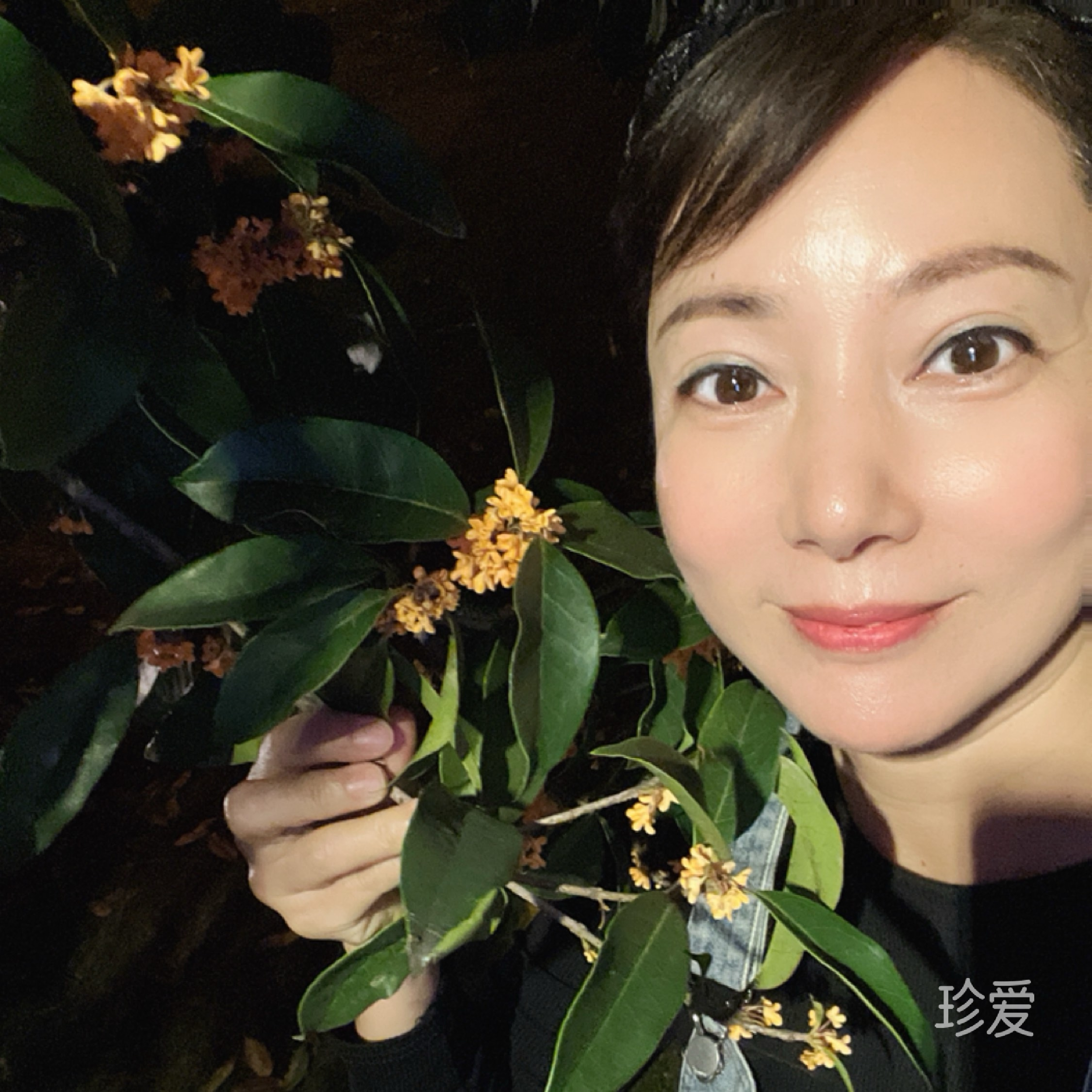 英英