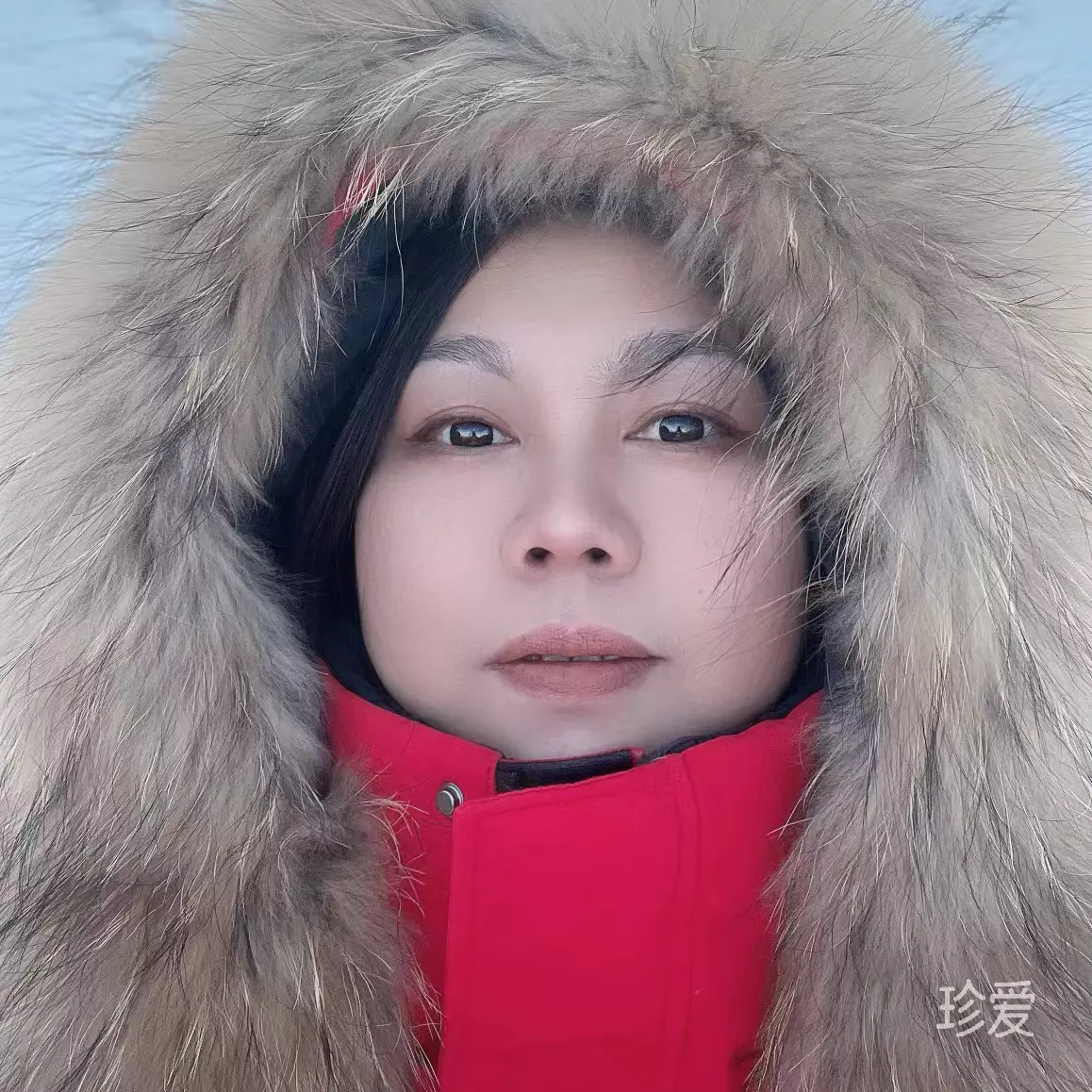 薰衣草的美