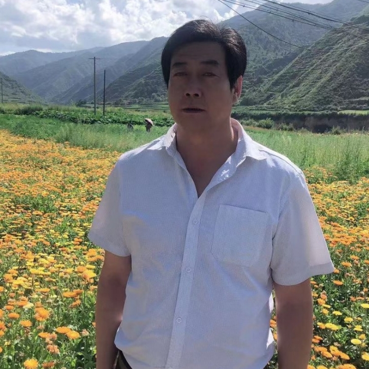 醉看紅塵這場夢