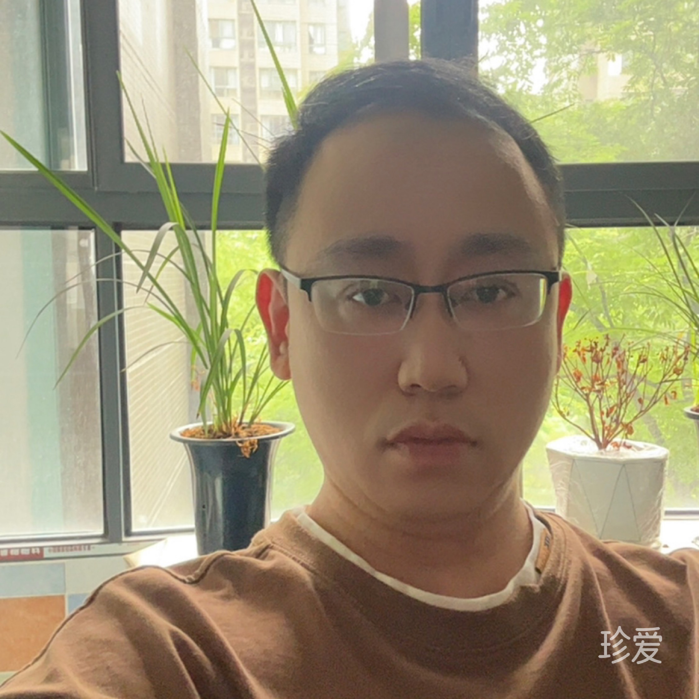 寻光