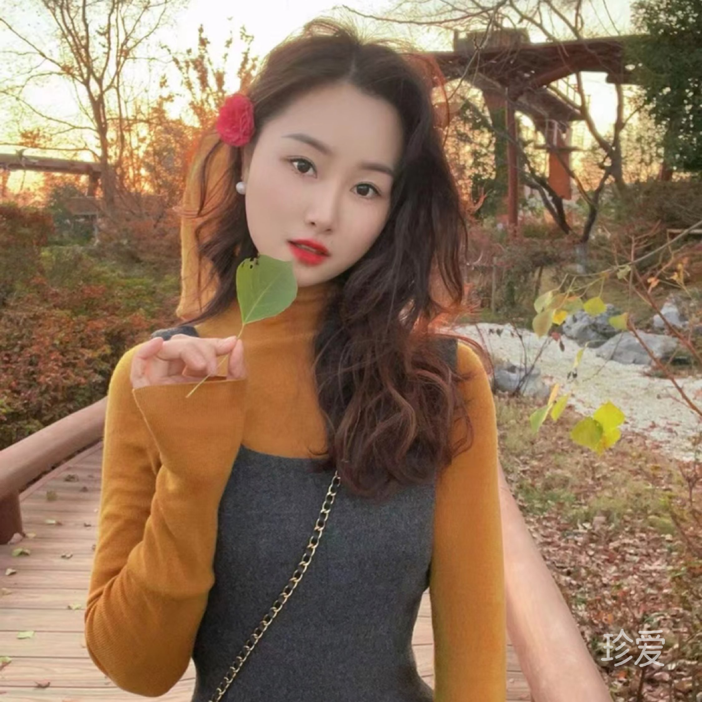 淡淡蓝蓝