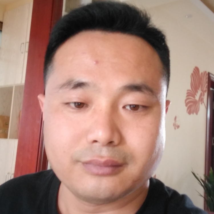 真心真意每一天