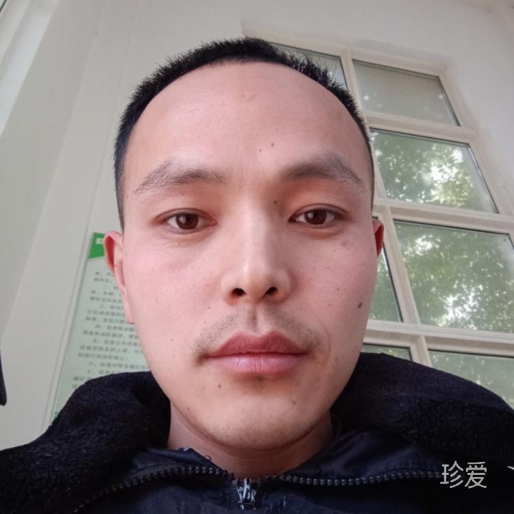 半自動(dòng)燃油自行車1