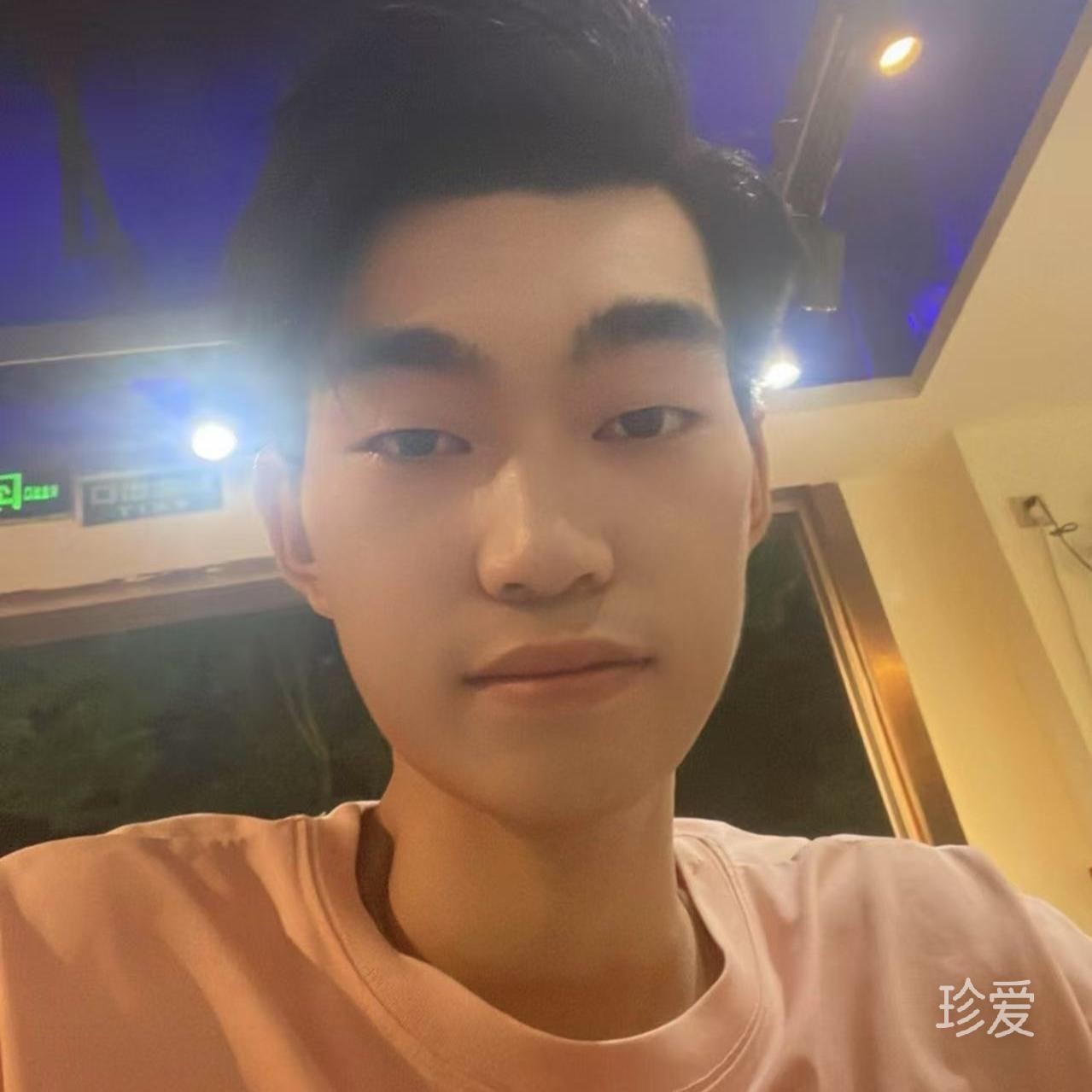 白日夢(mèng)的貓