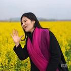 可兒