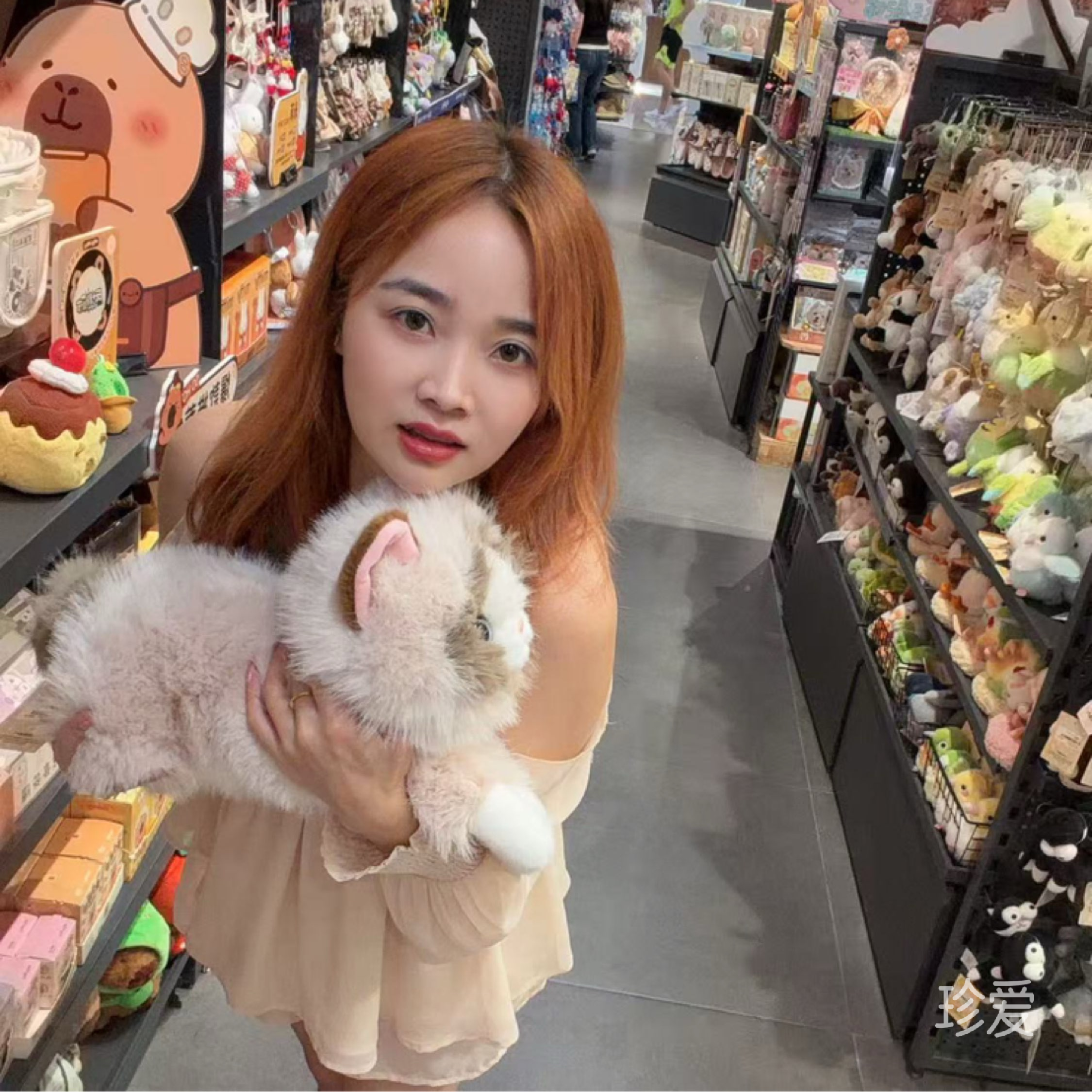 小鱼的爱