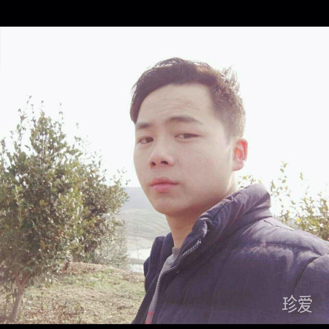 梦随风飘扬