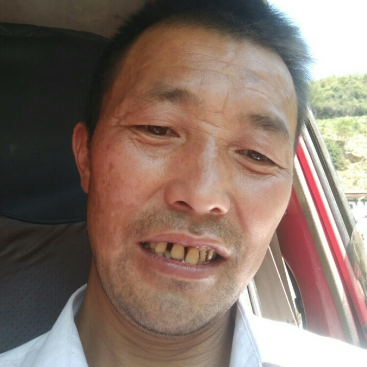 寻找最后的港湾