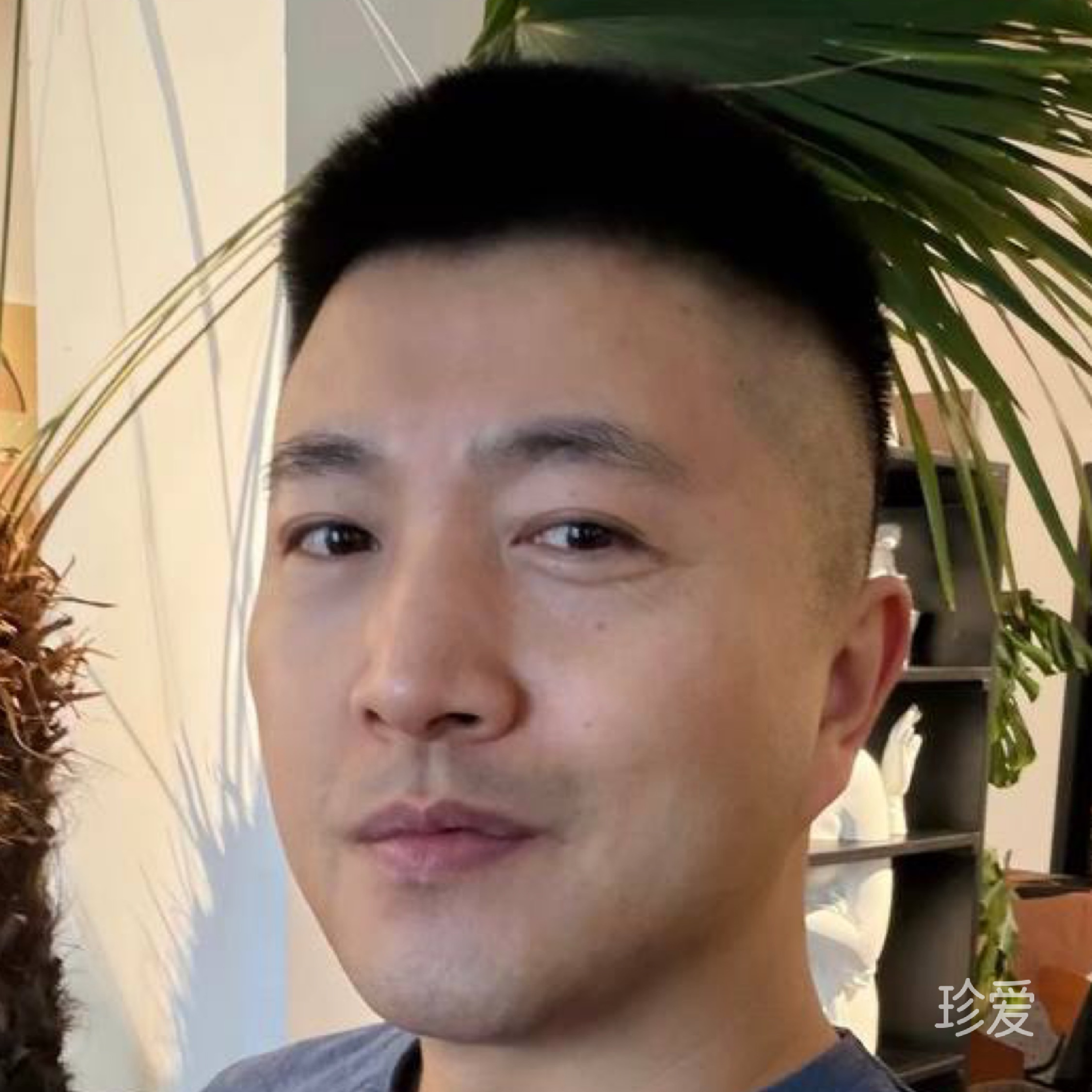 游航