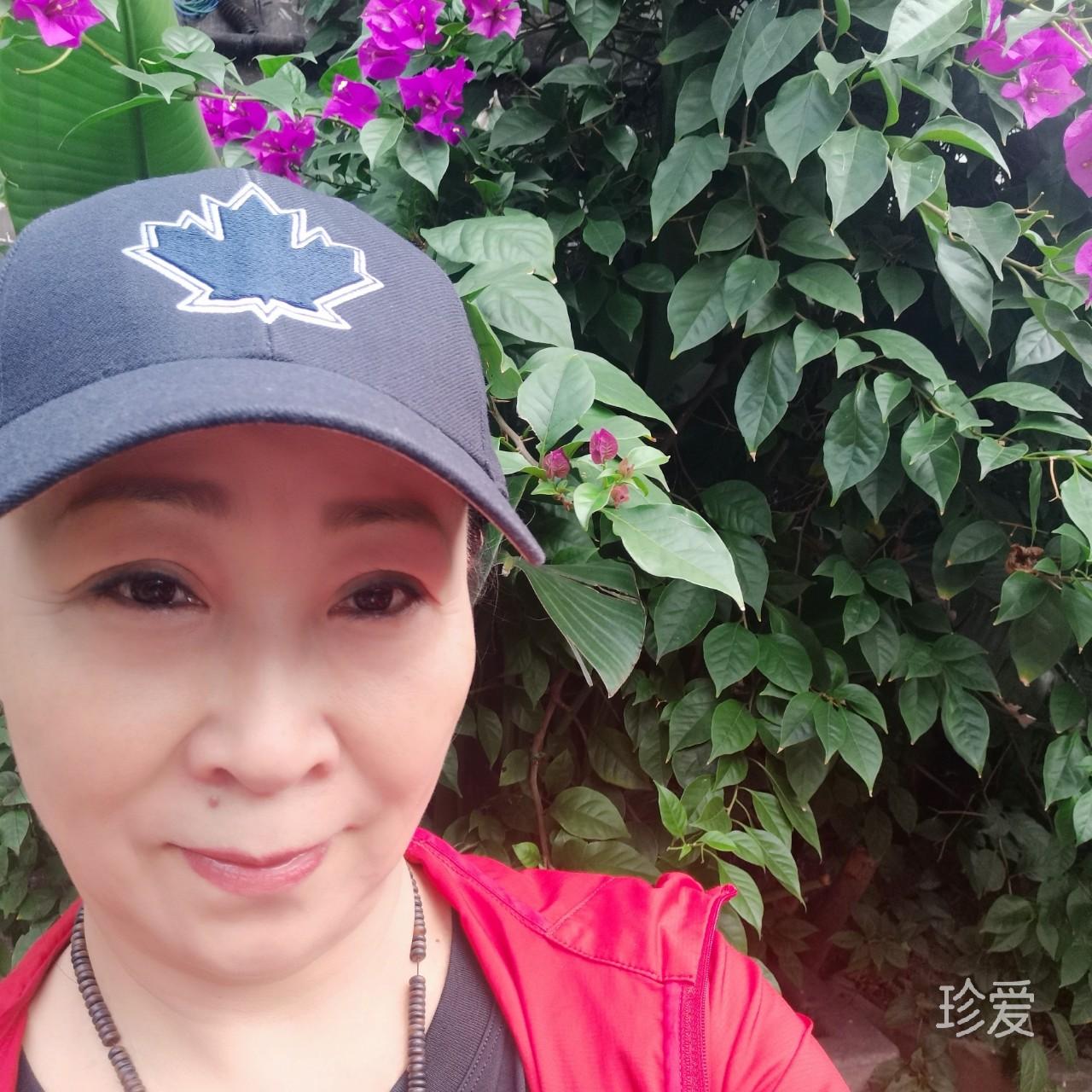 相思樹下等你來