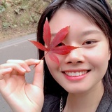 風(fēng)吹風(fēng)箏