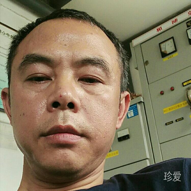 小鸟