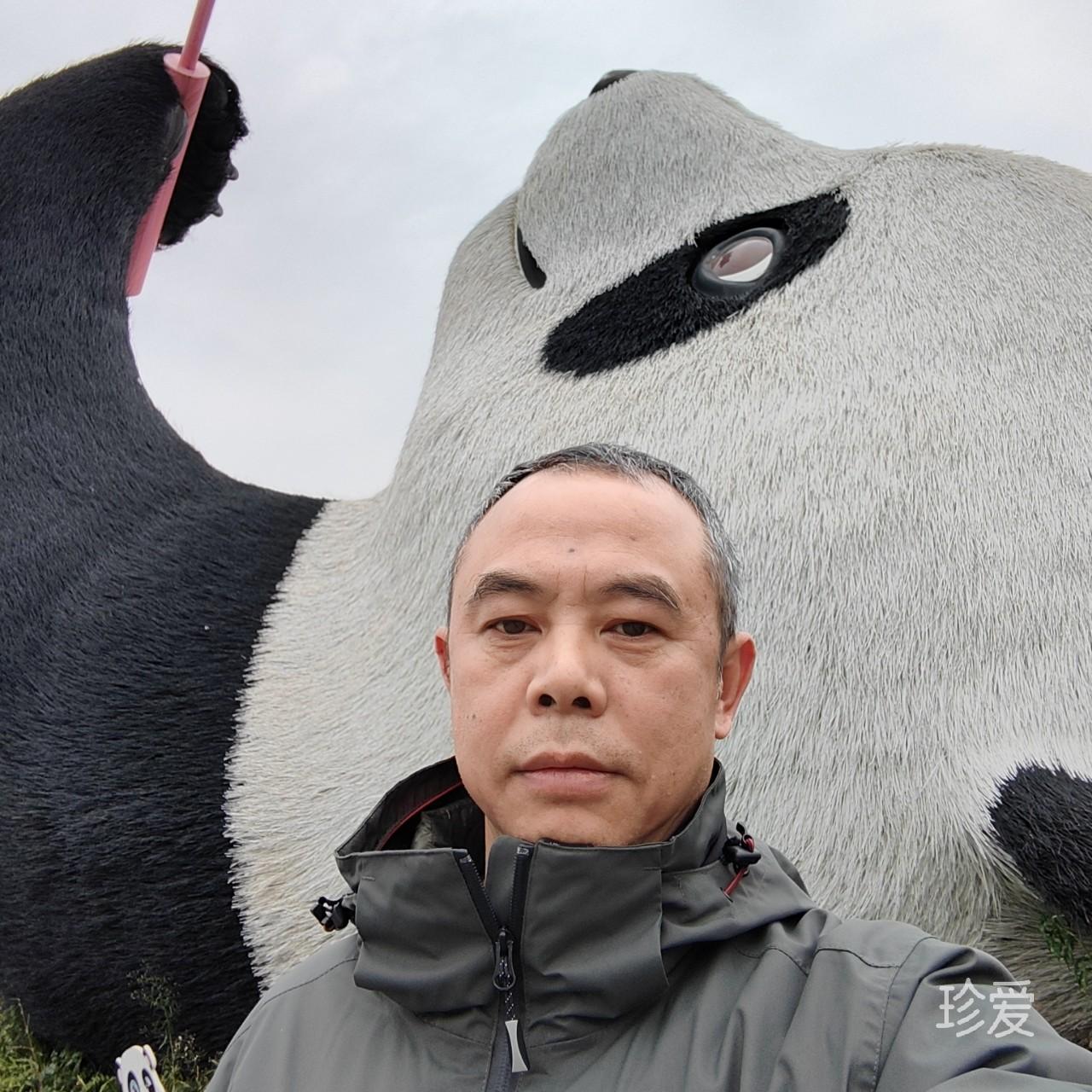 小鸟