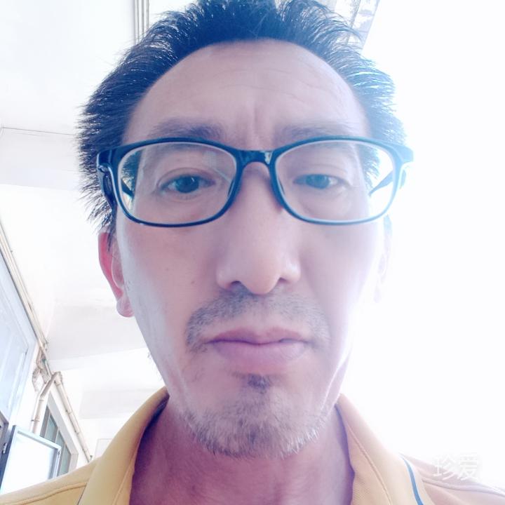 自由飞