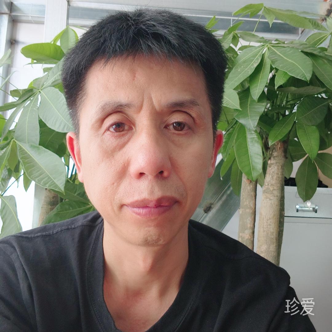热情奔放的马