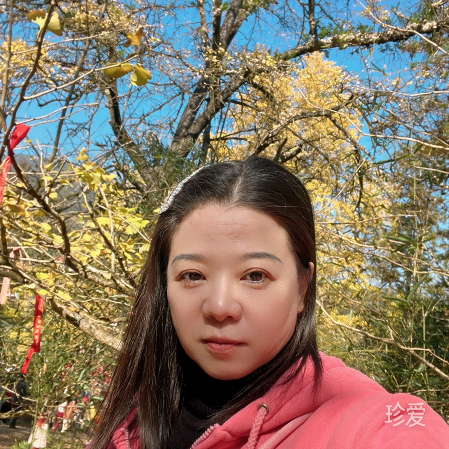 渲染的离殇