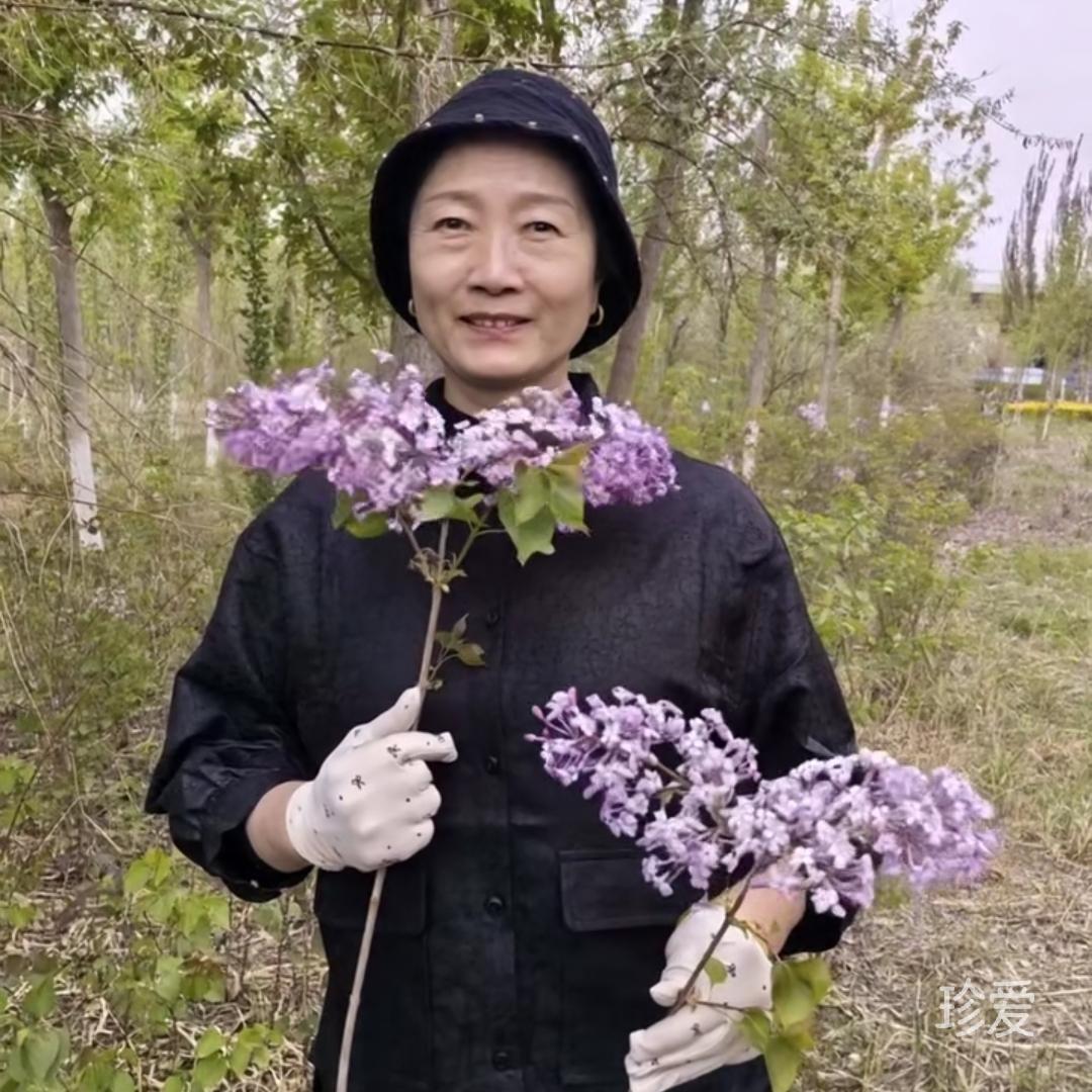 牡丹盛开