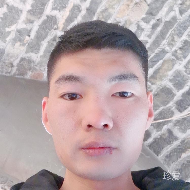 左岸右岸難上岸