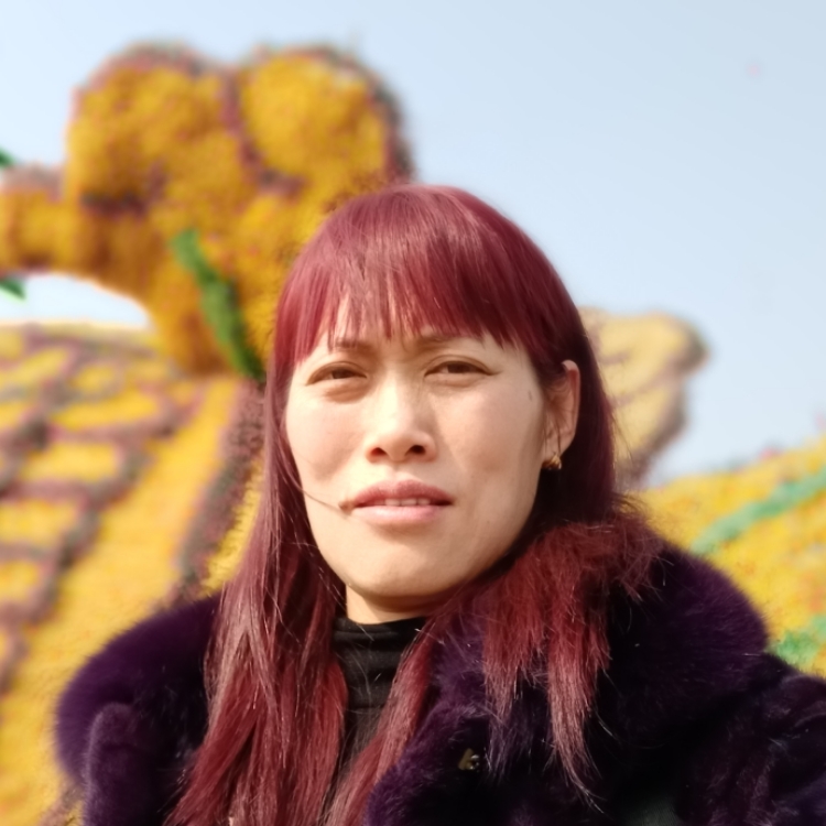 好想有个家