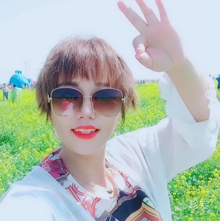 梧桐树下的羽翼