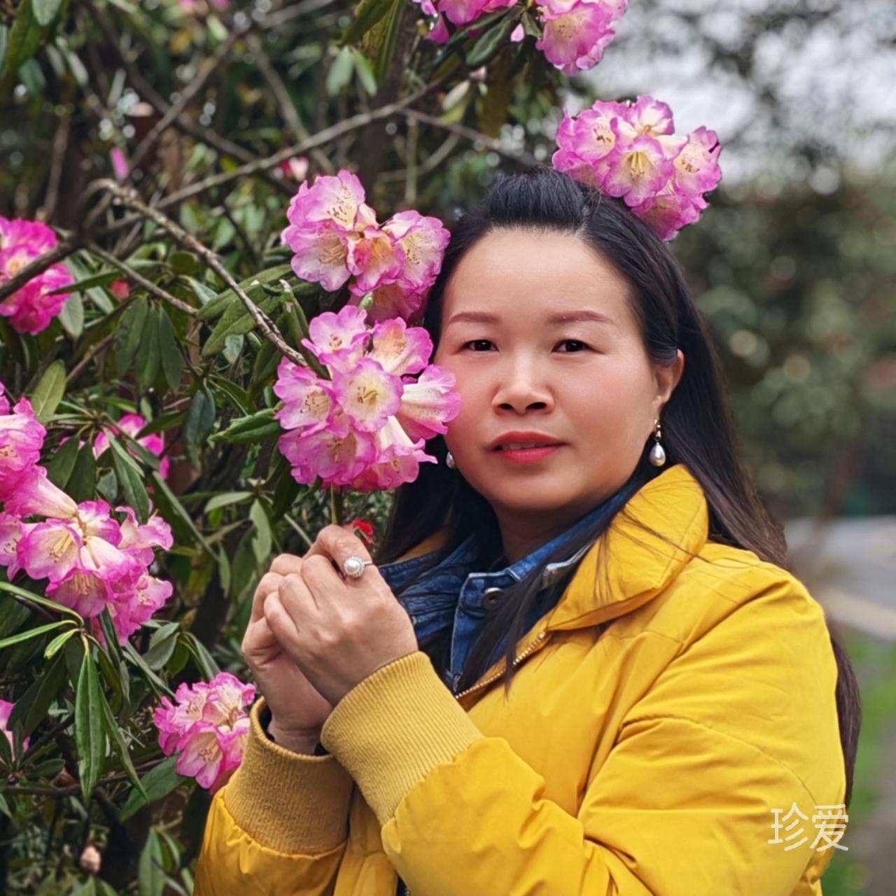 原味的柠檬