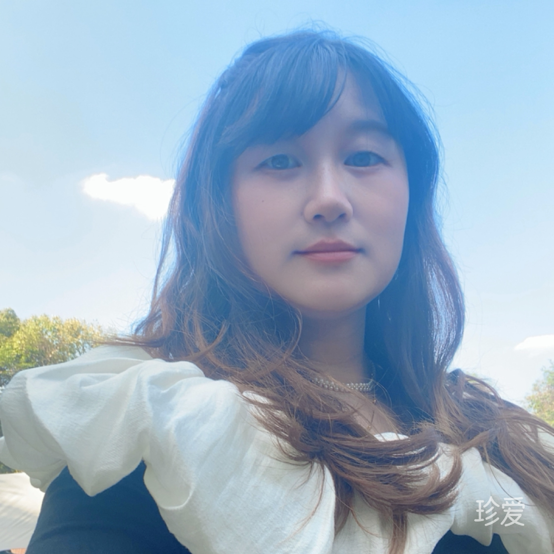夏夏