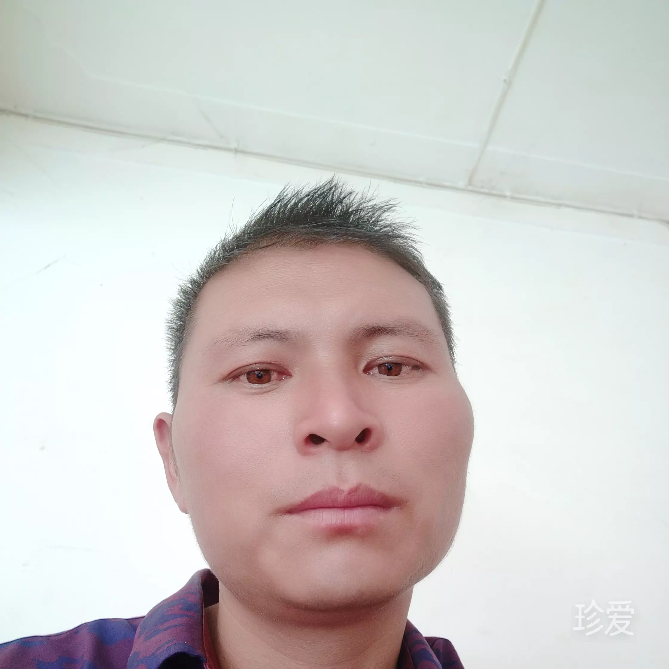 為你忠情