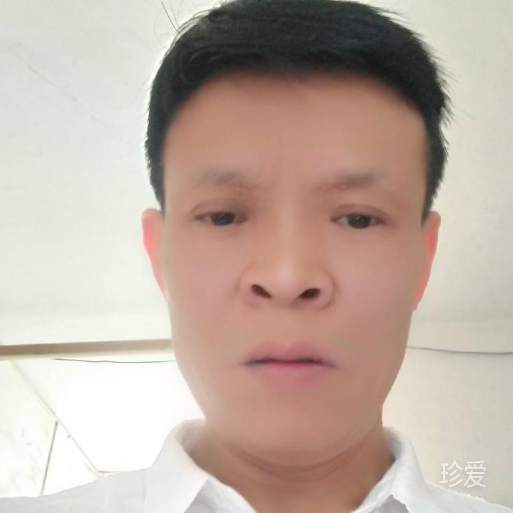 清风无忧