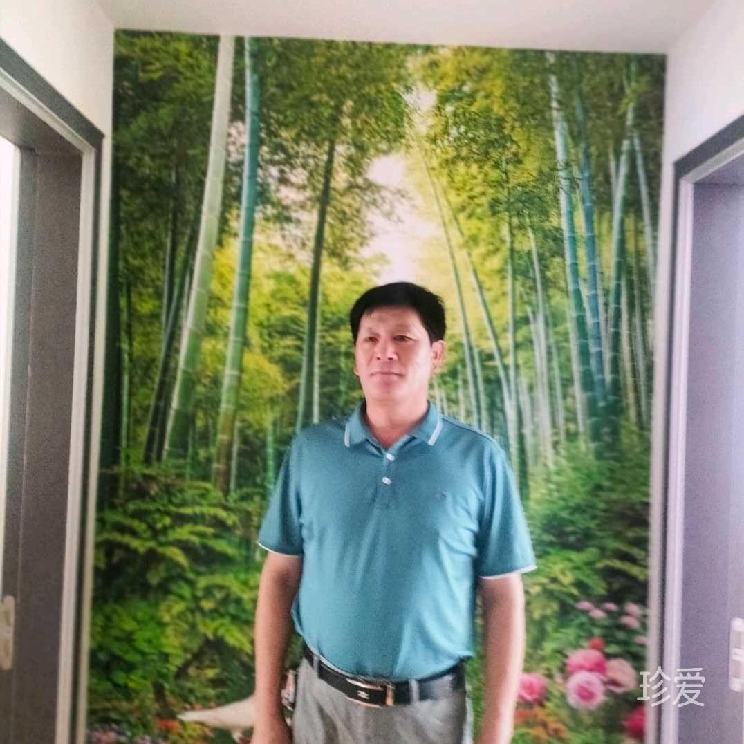 林间有新绿
