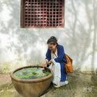 溪棠