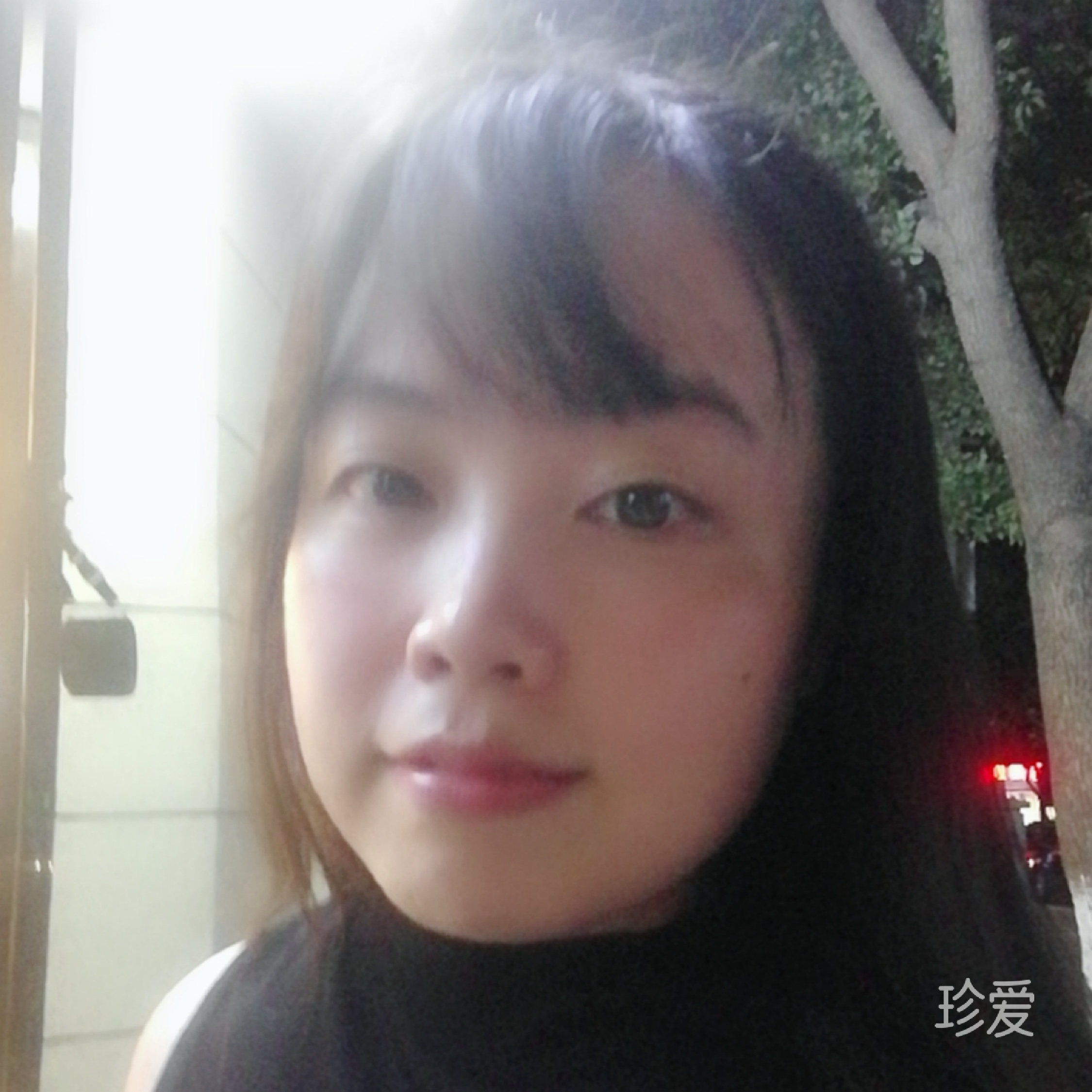 古董店里的猫